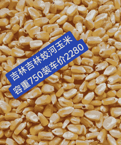 吉林通化市玉米价格