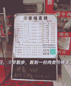 上海平均猪肉价格