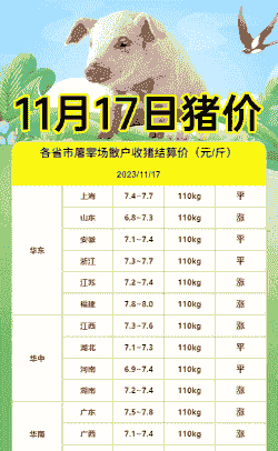 今年山东猪肉价格