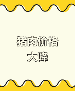 猪肉价格会不会涨