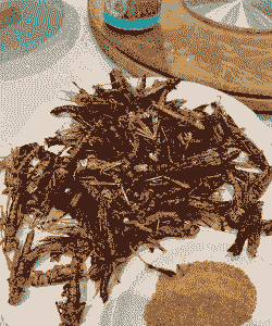 蝗虫吃什么食物