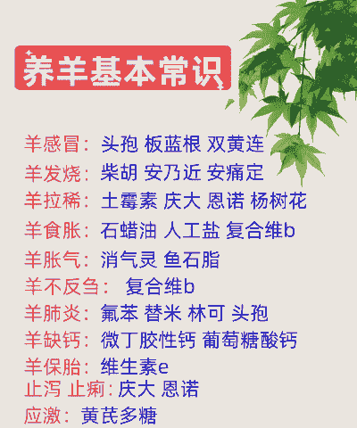 养羊需要什么条件