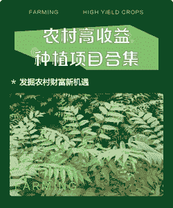 农田种什么最赚钱