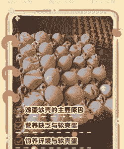 鸡蛋软壳是什么原因