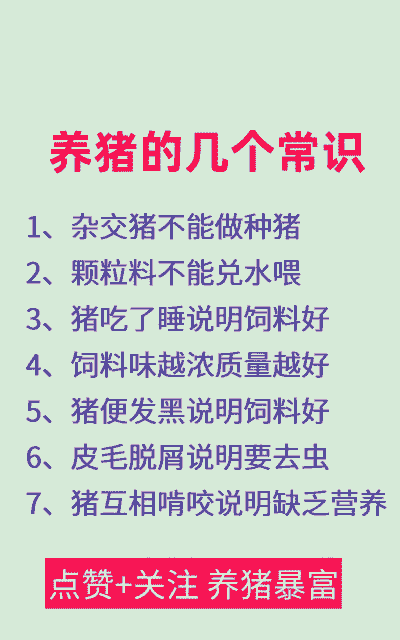 养猪是什么意思