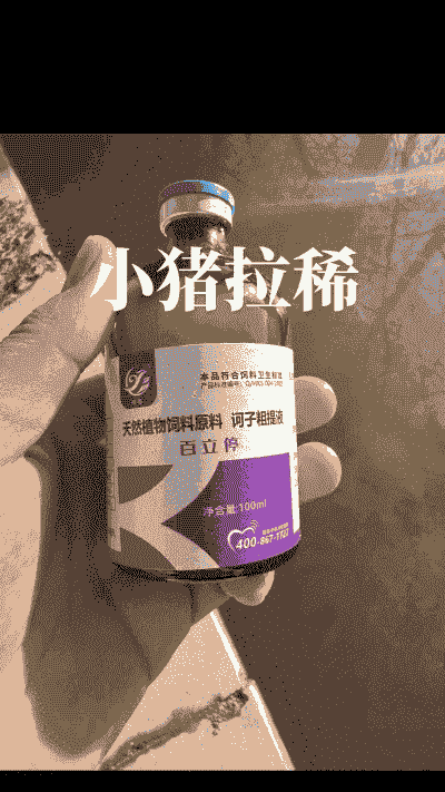 小猪拉稀用什么药