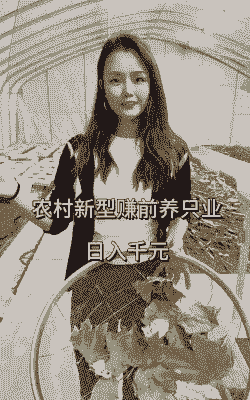 农村养什么赚钱