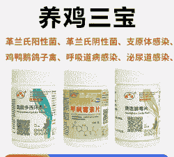 鸡胀嗉用什么药最见效