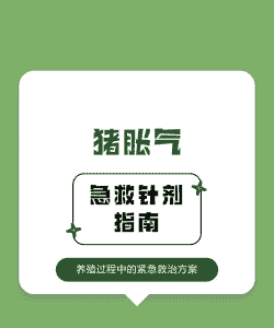 猪胀气打什么针