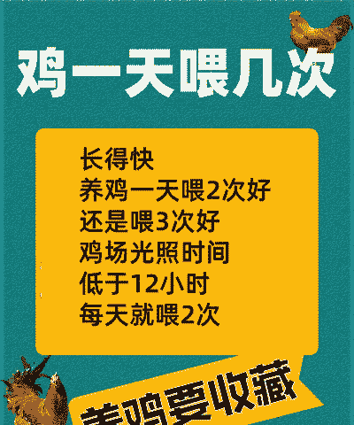 鸡喂什么长得快