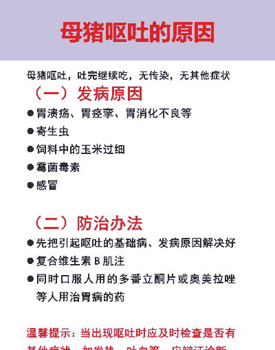 母猪呕吐是什么原因导致的