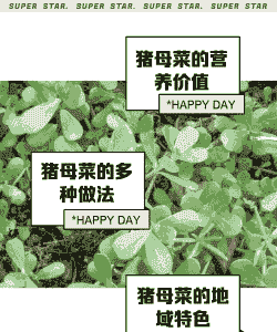 母猪产后能吃草