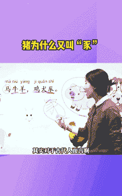 小猪为什么叫小猪