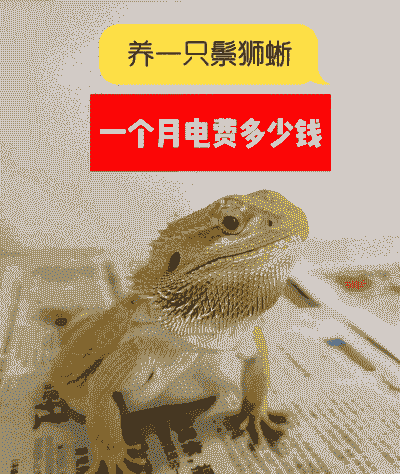 养什么动物最赚钱