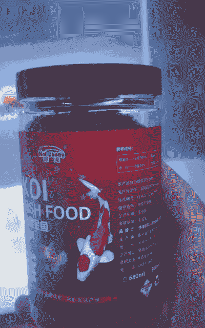 金鱼喂什么饲料