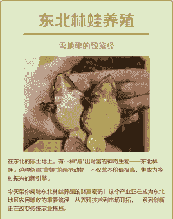 东北适合养殖什么