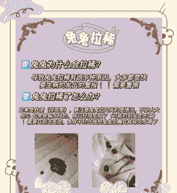 兔子为什么会拉稀