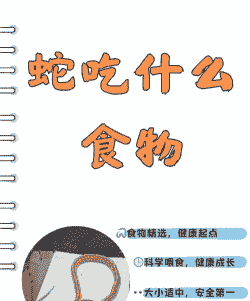 蛇吃什么动物