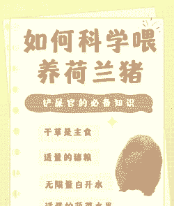 养猪要注意什么