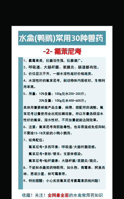 氟苯尼考兽药治什么病