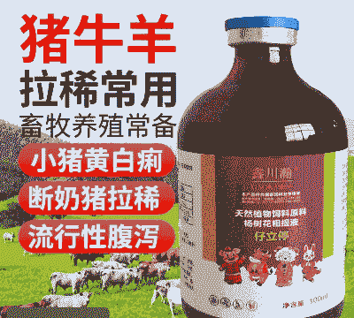 大猪拉稀用什么药最快