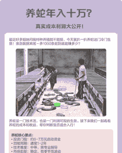 养什么动物赚钱利润高