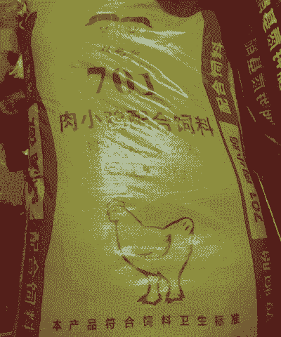 什么鸡饲料好
