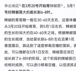 辣椒什么时候播种