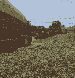 青贮是什么意思