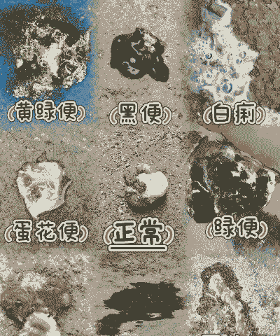 鸡拉稀是什么原因