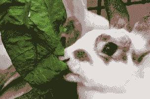 养兔子有什么好处