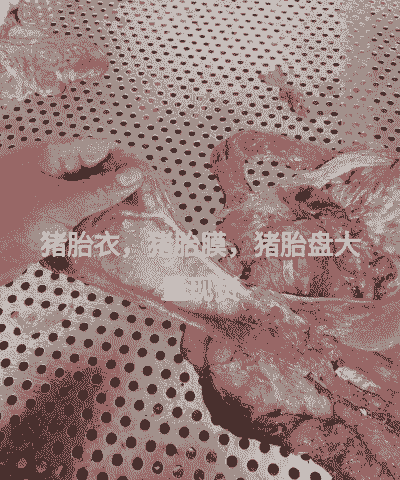 母猪产后胎盘不掉