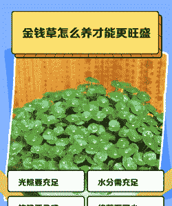 养什么东西最赚钱