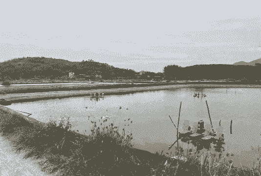 水产养殖什么最赚钱