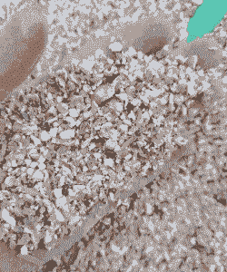 什么是能量饲料