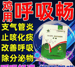 鸡气管炎用什么药
