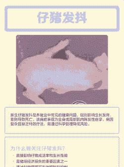 小猪发抖是什么原因