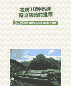 药材种植什么最赚钱