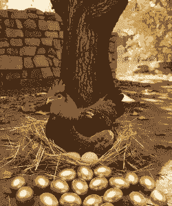 什么鸡最会下蛋