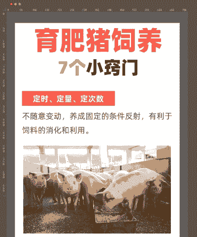 养猪需要什么技术