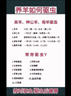 羊什么时候驱虫最好