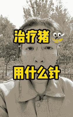 猪体温低打什么针