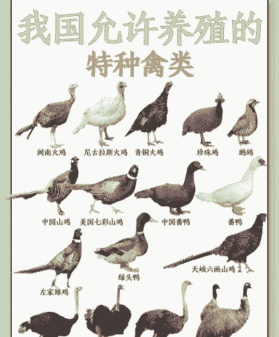 什么是特种养殖