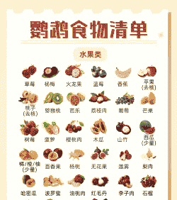 家养小鸟吃什么食物