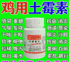 鸡拉绿色粪便吃什么药