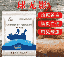 鸡小肠球虫用什么药