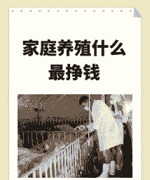 今年养殖什么最挣钱