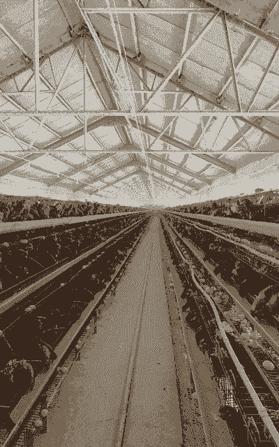 种植什么最赚钱养殖业