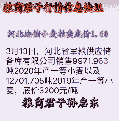 河北小麦什么价格