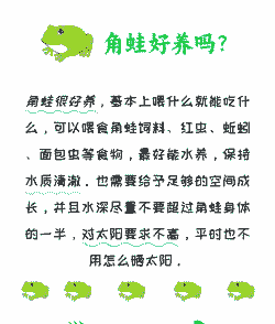 养青蛙喂什么